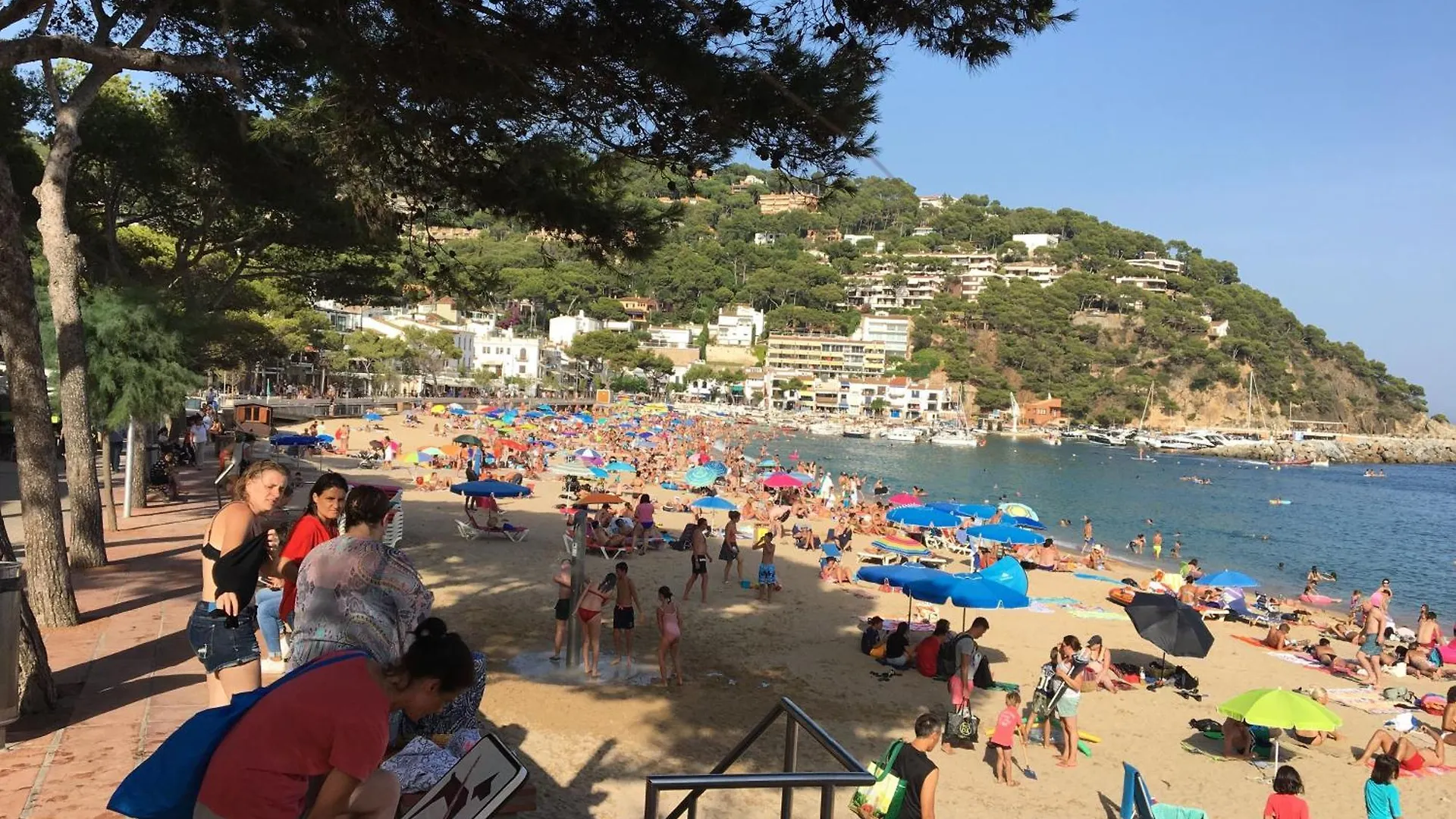 Costa Brava Palamos Chalettas Campsite